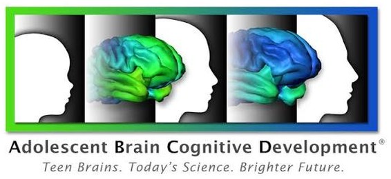 Adolescent Brain Cognitive Development (ABCD) Study